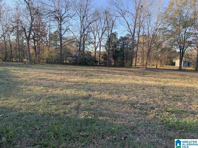 130 Alabama Ave Unit 1, Bessemer AL, 35020 land for sale