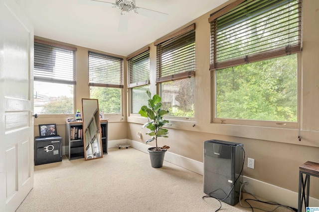 carpeted home office with ceiling fan