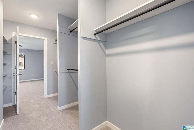 spacious closet featuring light carpet