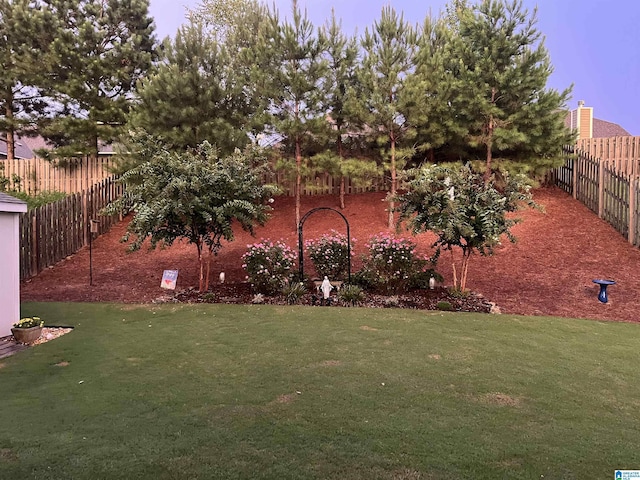 view of yard at dusk