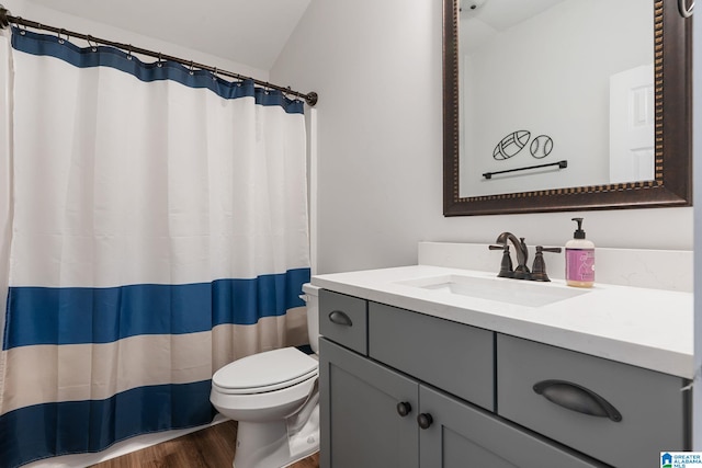 bathroom featuring vanity, curtained shower, toilet, and wood-type flooring