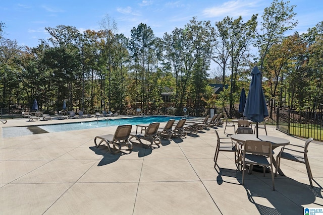 view of swimming pool featuring a patio