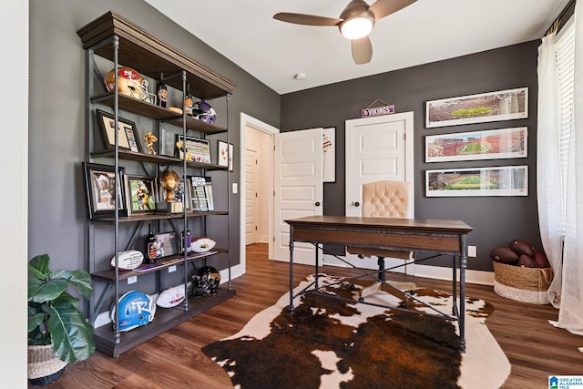 home office with ceiling fan and dark hardwood / wood-style floors