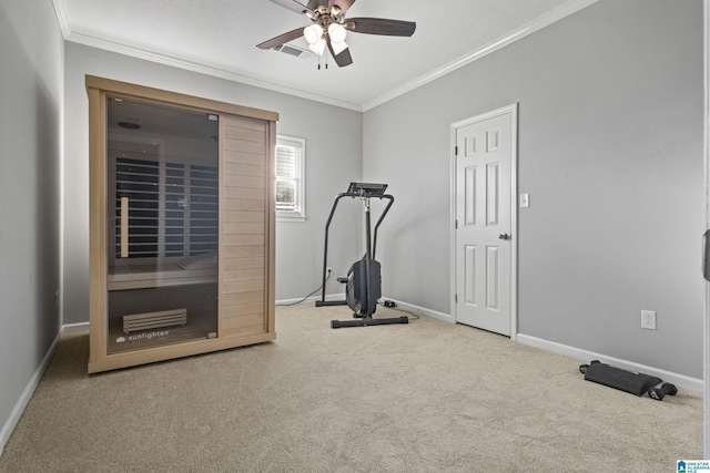 workout area with ceiling fan, carpet, and ornamental molding