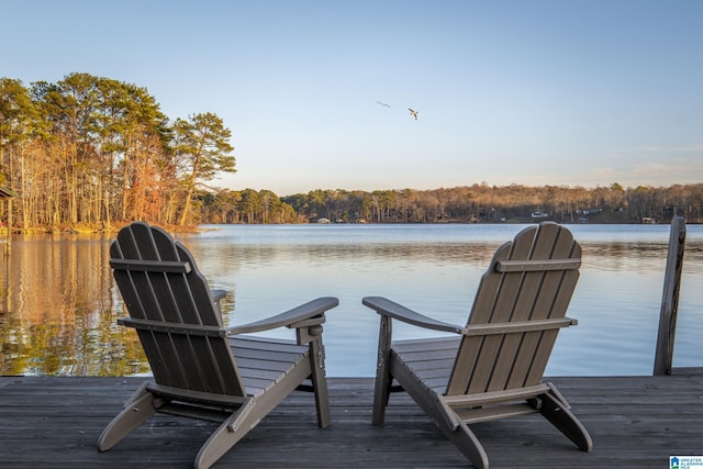 dock area featuring a water view