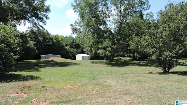 view of yard with a storage unit