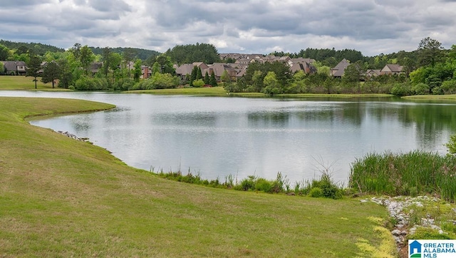 property view of water