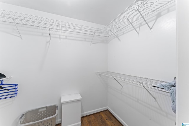 walk in closet featuring dark hardwood / wood-style flooring