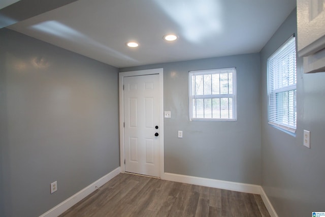 entryway featuring hardwood / wood-style floors