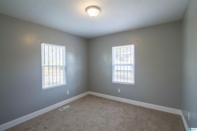 carpeted spare room with a healthy amount of sunlight