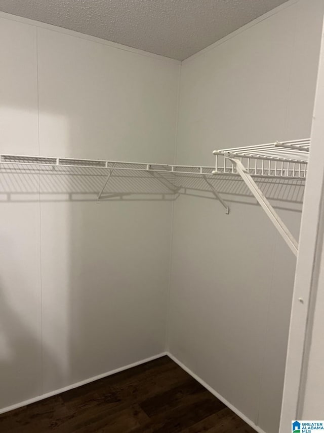 spacious closet with dark wood-type flooring