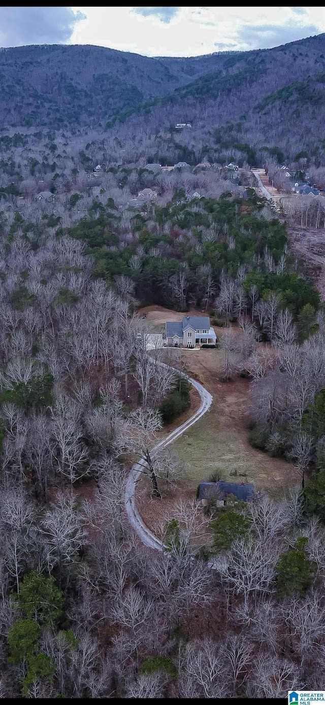 bird's eye view featuring a mountain view