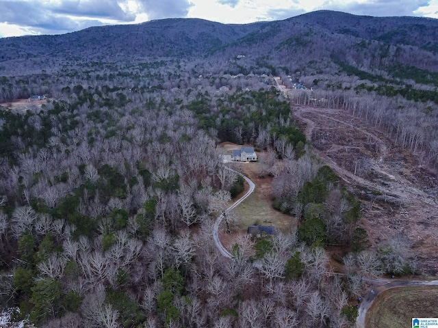 aerial view with a mountain view