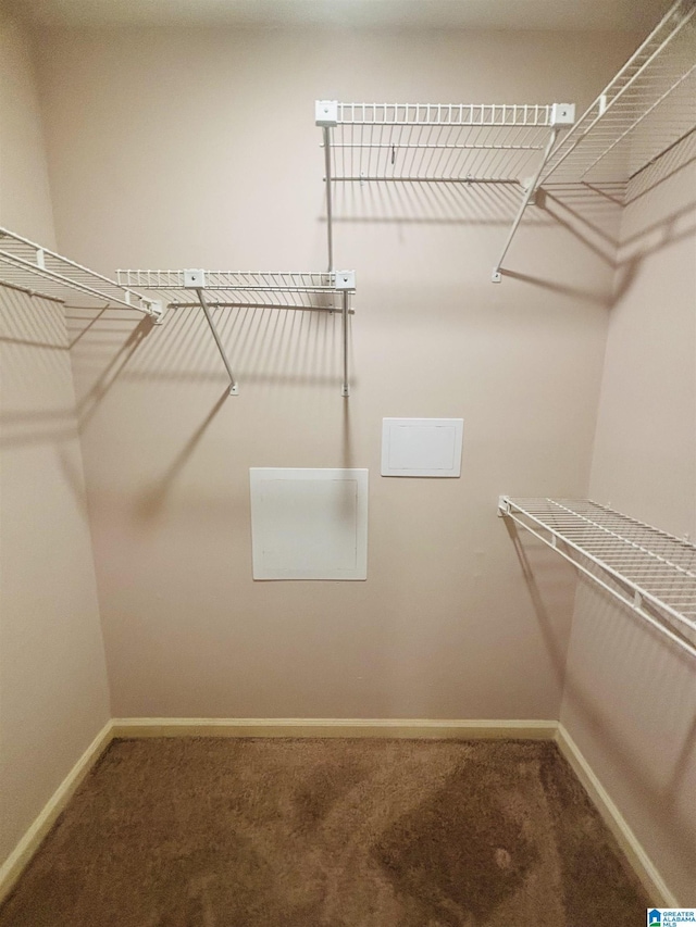 spacious closet with carpet