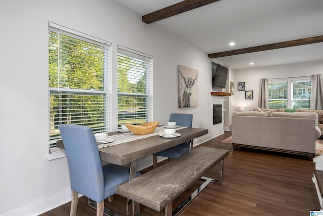 dining room with dark hardwood / wood-style floors and beam ceiling