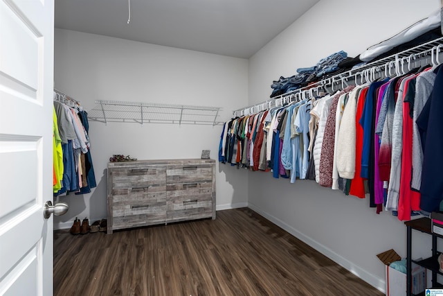 walk in closet with dark hardwood / wood-style floors