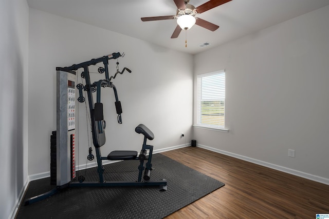 workout area featuring ceiling fan and dark wood-type flooring