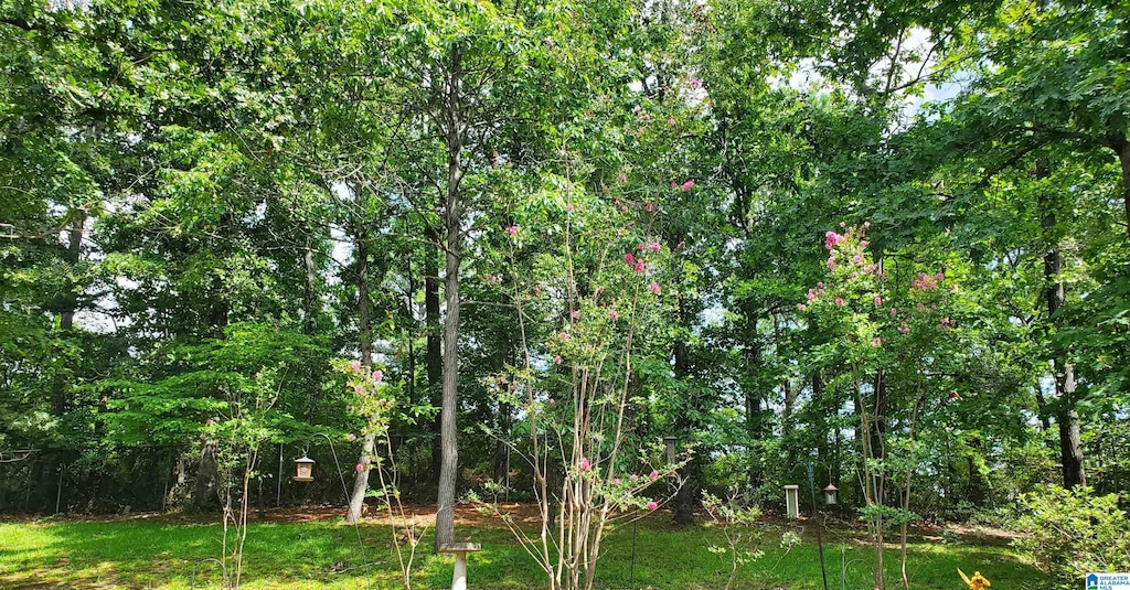 1206 Broken Bow Cir, Alabaster, AL 35007 - view of nature