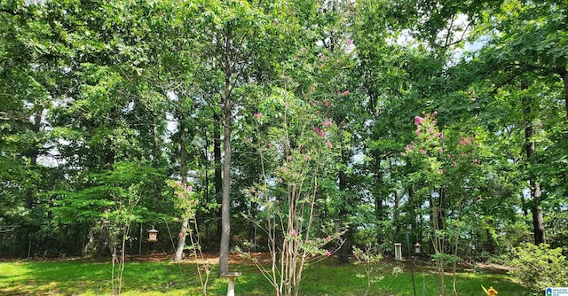 1206 Broken Bow Cir, Alabaster, AL 35007 - view of nature