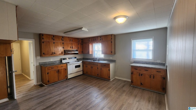 kitchen featuring white range with electric cooktop, sink, extractor fan, and light hardwood / wood-style flooring