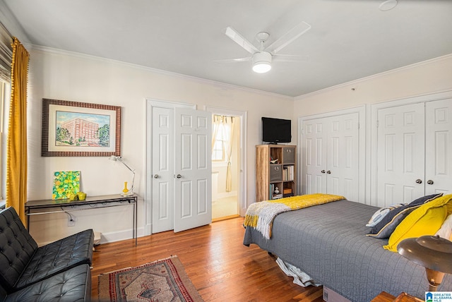 bedroom with ceiling fan, ornamental molding, two closets, and hardwood / wood-style flooring