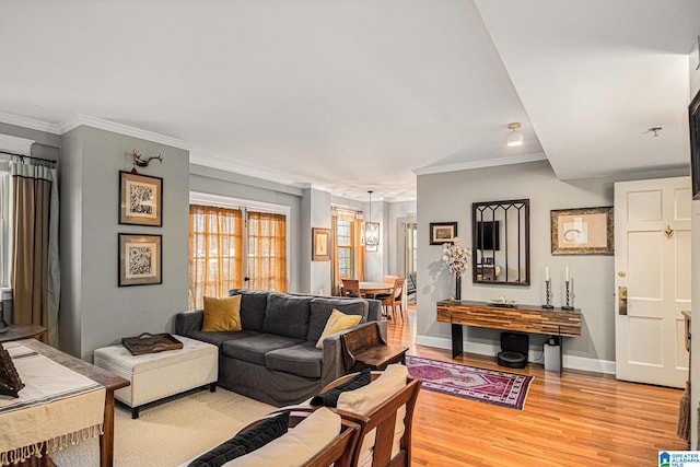 living room featuring light hardwood / wood-style floors and crown molding