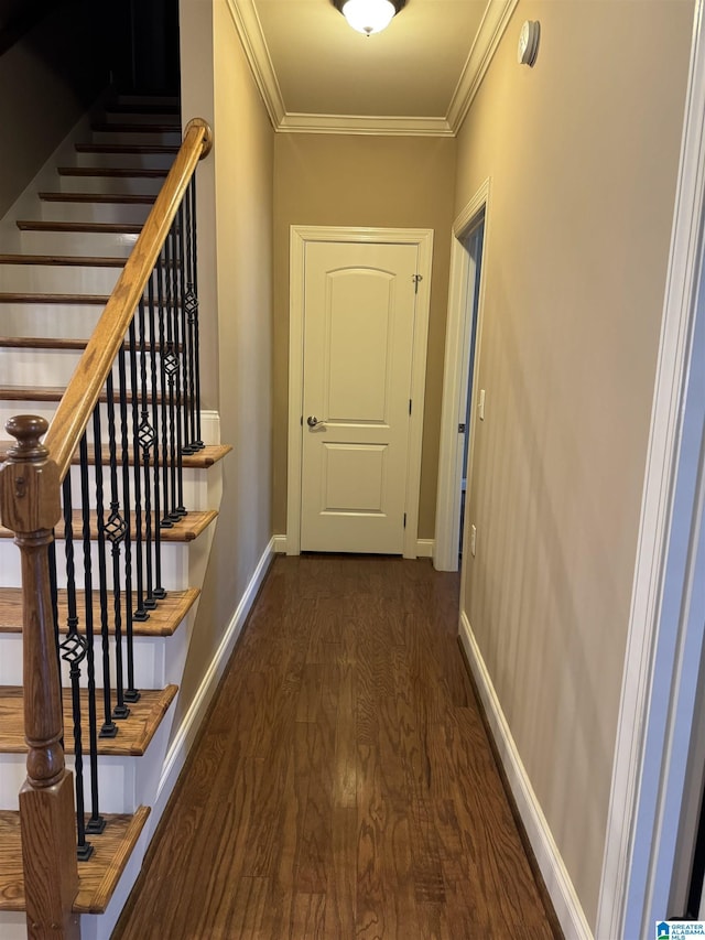 corridor featuring dark hardwood / wood-style flooring and crown molding