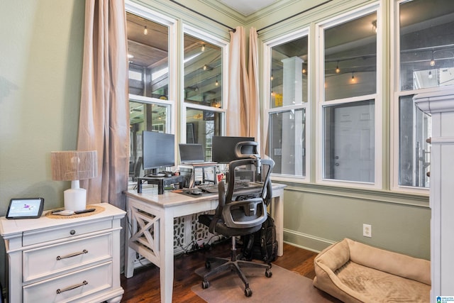 office featuring a wealth of natural light, dark hardwood / wood-style flooring, and crown molding