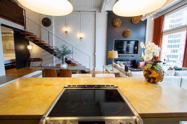 kitchen with stove and wood-type flooring