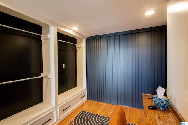 interior space with light hardwood / wood-style flooring and a closet