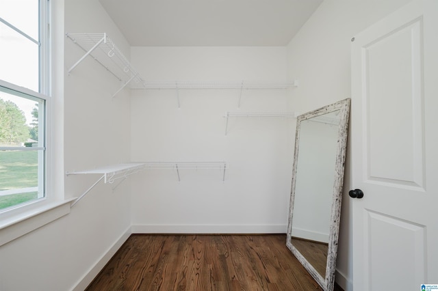 walk in closet featuring dark wood-type flooring