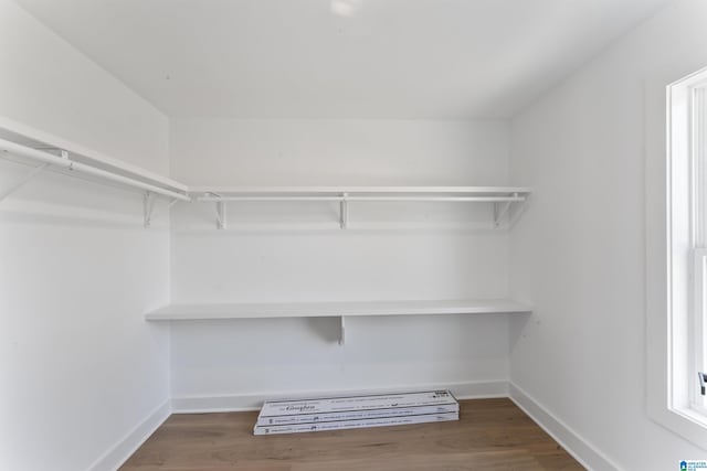 walk in closet featuring dark hardwood / wood-style floors