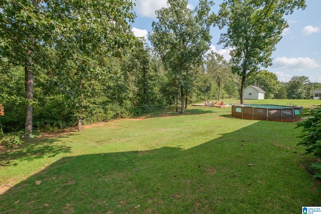 view of yard with a shed