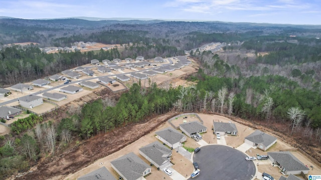 birds eye view of property with a mountain view