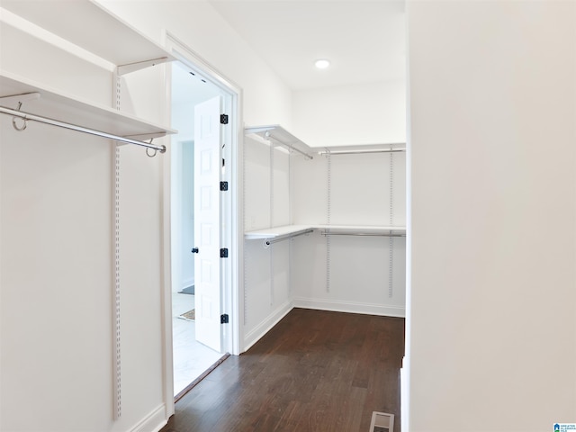 walk in closet featuring dark hardwood / wood-style floors