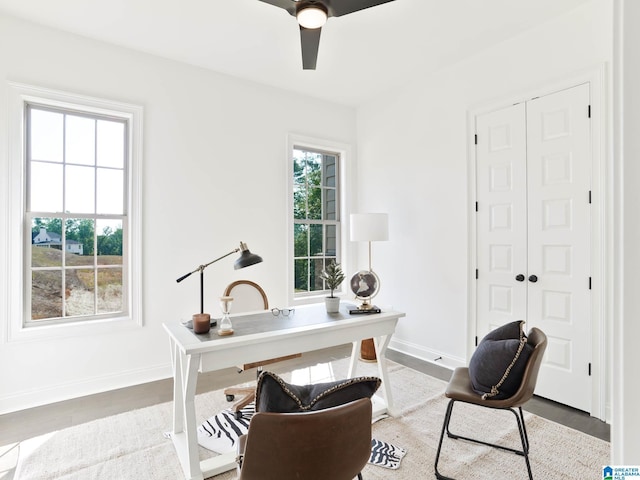 office space featuring ceiling fan and hardwood / wood-style floors