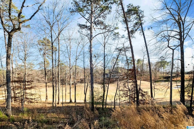 view of landscape