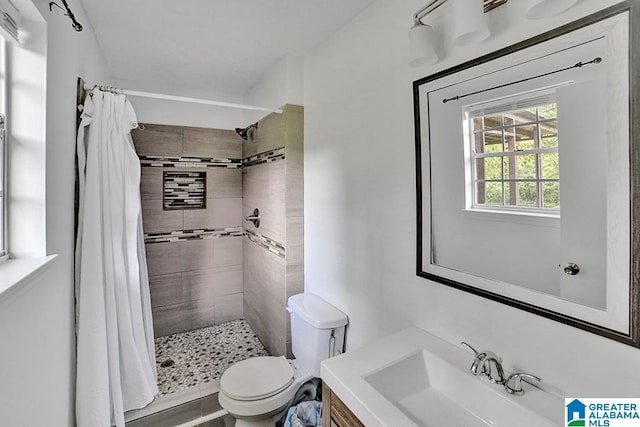 bathroom with vanity, toilet, and walk in shower