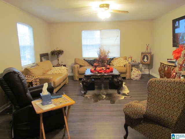 living room featuring ceiling fan and dark wood-type flooring