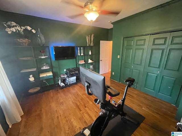 home office with hardwood / wood-style floors and ceiling fan