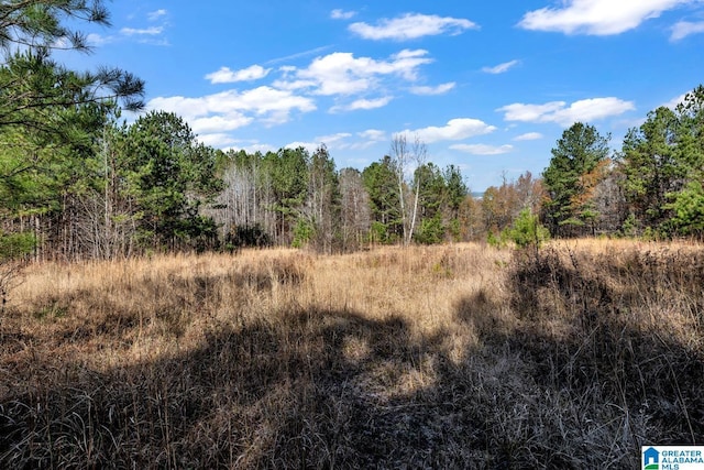 view of local wilderness