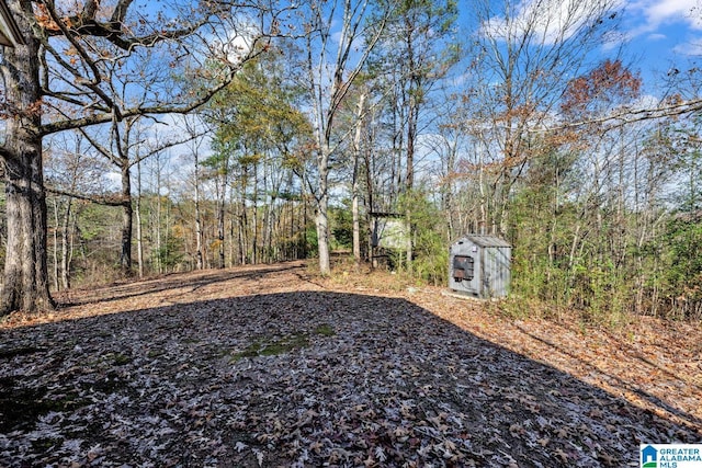 view of yard with a shed