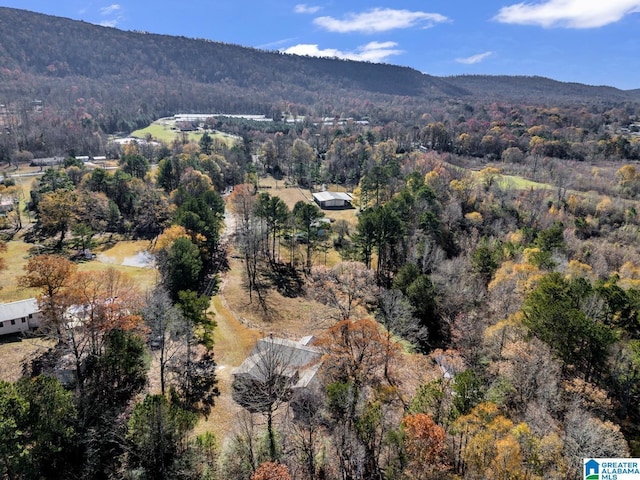 aerial view with a mountain view