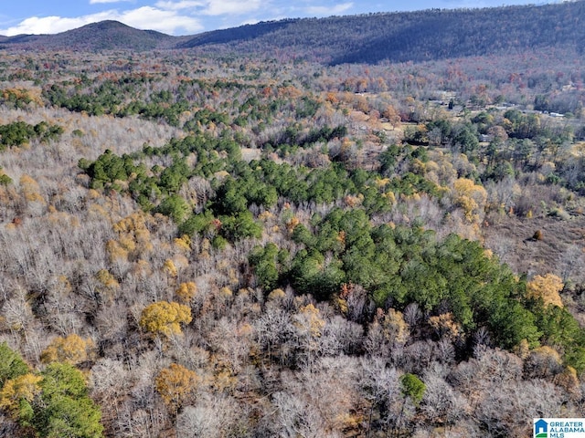 view of mountain feature