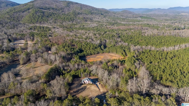 drone / aerial view with a mountain view