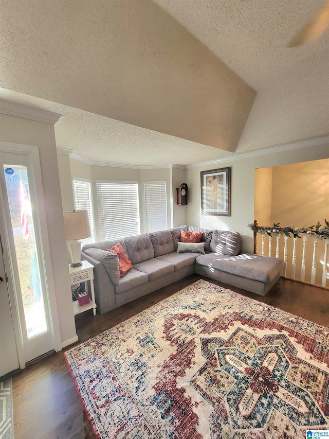 living room with crown molding, dark hardwood / wood-style flooring, and a textured ceiling