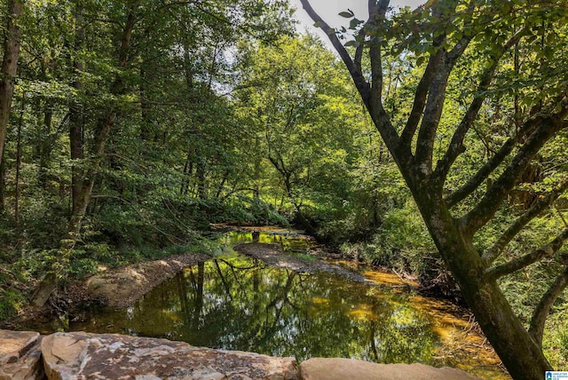 view of nature featuring a water view