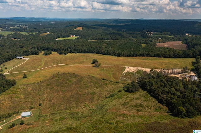 bird's eye view with a rural view