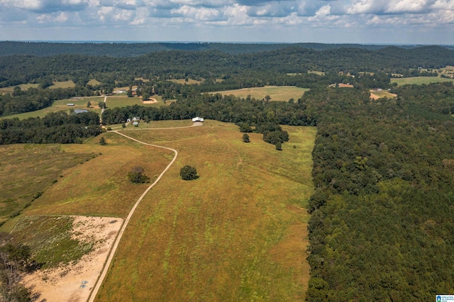 bird's eye view with a rural view