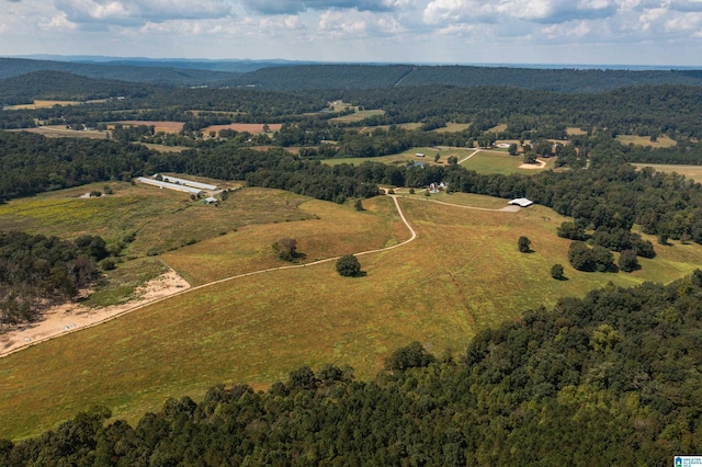 aerial view with a rural view